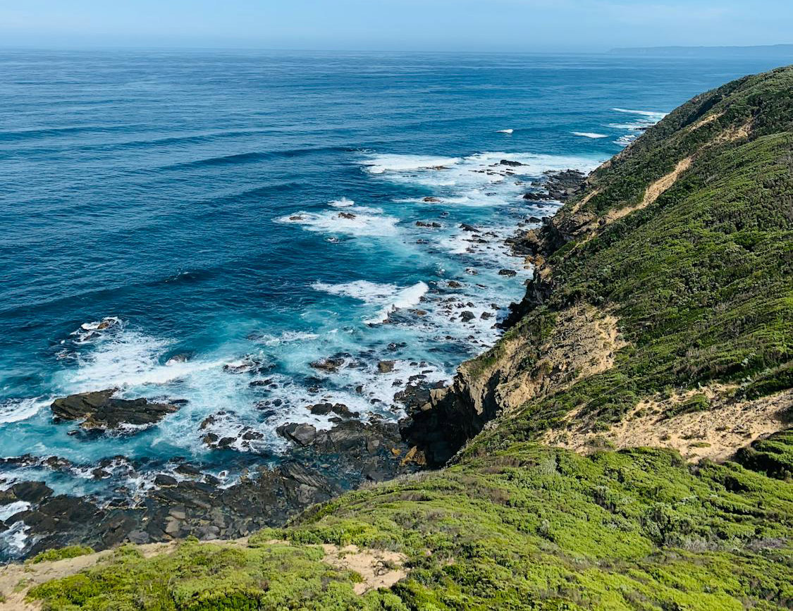 Profumi Marini e Ozonici: la freschezza del mare in una bottiglia